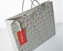 Custom Paper Shopping Bags